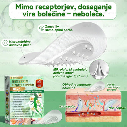 ❤️BSWELL® Nano mikroneedling shujševalni obliž (Samo enkrat na dan, vidne spremembe v 28 dneh)  ✅ Za debelost, zdravje srca in ožilja, sladkorno bolezen, spalno apnejo, zdravje črevesja, težave s sklepi in še več.