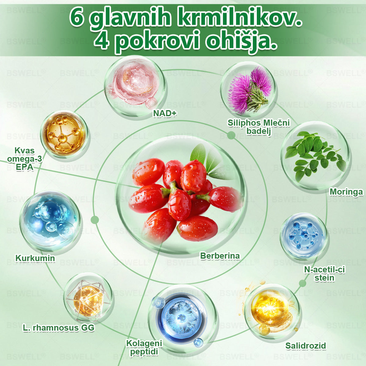 ❤️BSWELL® Nano mikroneedling shujševalni obliž (Samo enkrat na dan, vidne spremembe v 28 dneh)  ✅ Za debelost, zdravje srca in ožilja, sladkorno bolezen, spalno apnejo, zdravje črevesja, težave s sklepi in še več.